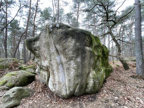 Image of Tante Pollewop (assis) (7a)